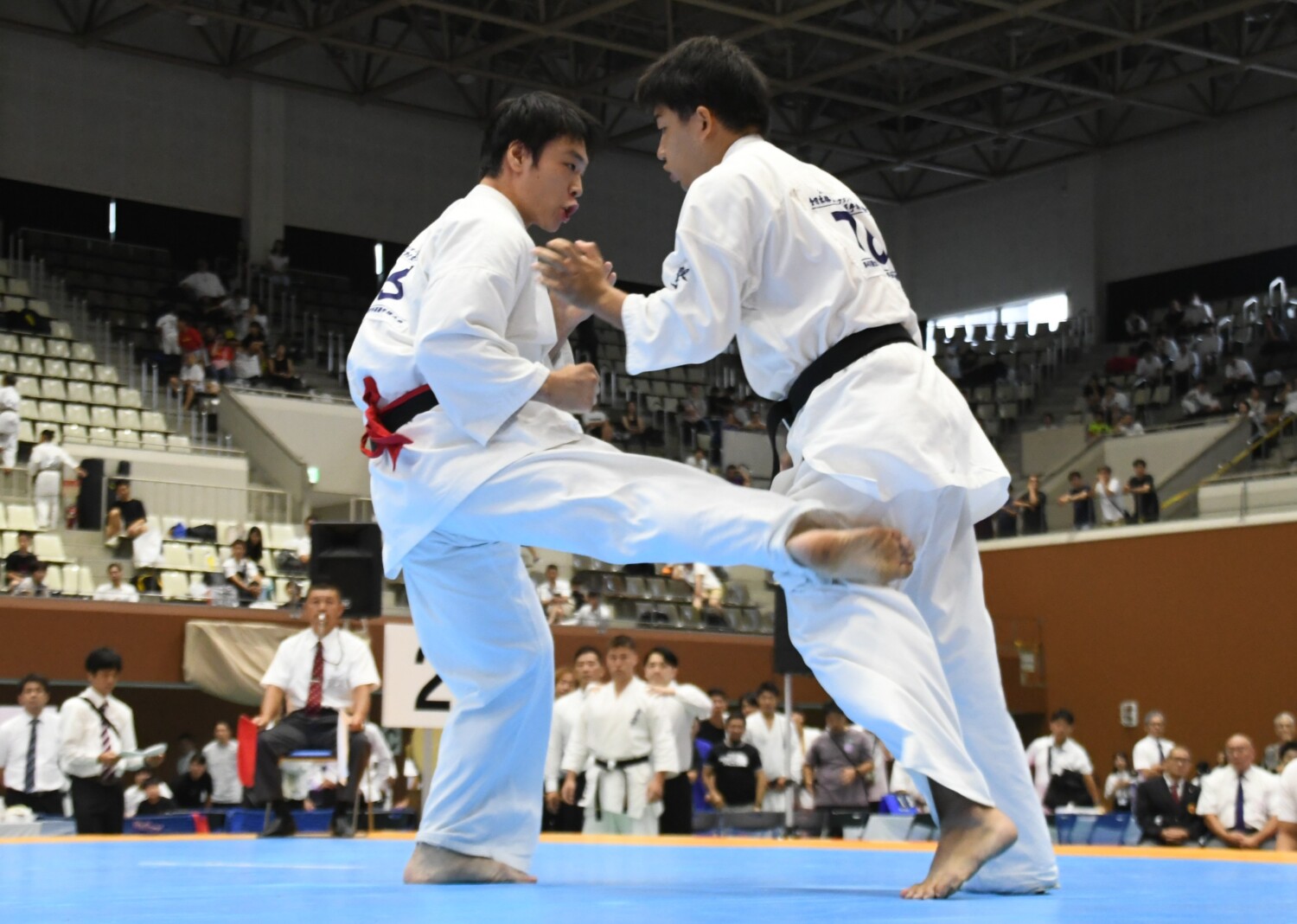 極真会館＆真正会 8.23-24 島津アリーナ京都（レポ）：全日本体重別