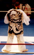 ����C���̓���