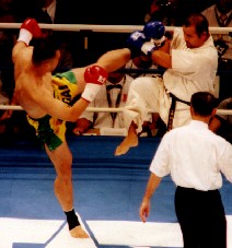 ����̍��~�h��