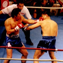 �V�c�̃p���`�������Ƀq�b�g