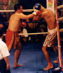 �n���V�̖ҍU�����̂�����