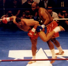 �t�O�̌�񂵏R��