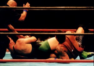 �t�B�j�b�V���̕G�\��