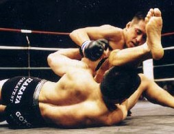 �X�s�[�f�B�[�ȍU�h