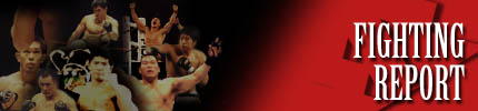 Fighting Report �i�������|�[�g�A�[�J�C�u�j