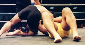 �y���̘r����ߏグ��߉�