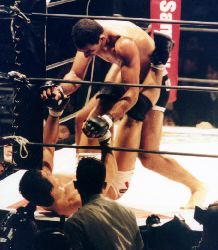 �D�؂��R�[�i�[�ɉ������ރu���K