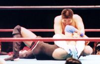 �t�B�j�b�V���̘r�\��