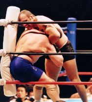 �R�[�i�[�ɉ������ރN�[�g�D�A