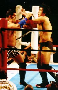 ����C���̏���