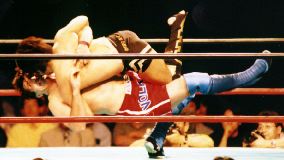 �n���̂��蓊��