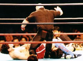 �t�B�j�b�V���̘r�\��