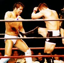 �R�{�C���̍U��