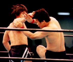 �����̃o�b�N�n���h�u���[