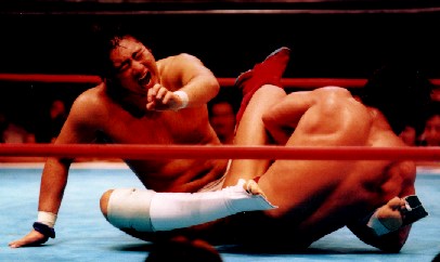 �R�{�̃A�L���X�F������