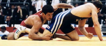 �T�C�L�G�t�i�ԁj�ƃ��C�|���h�i�j